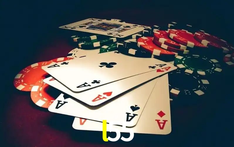 l55 visual 2